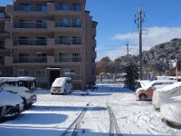 DSC06262