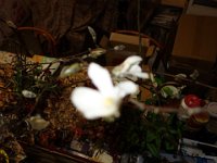 DSC06341