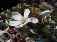 RIMG0585