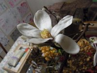 RIMG0587