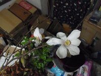 RIMG0589