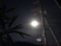 DSC06347