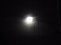 RIMG0593