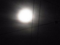 RIMG0594