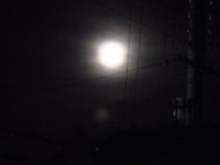 RIMG0595