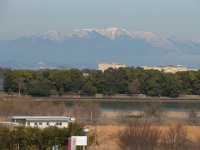 RIMG0597