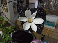 RIMG0605