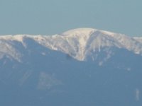 RIMG0628
