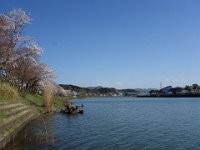 DSC06550