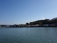 DSC06551