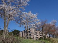 DSC06557