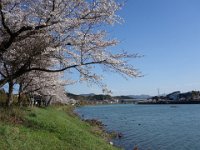DSC06562
