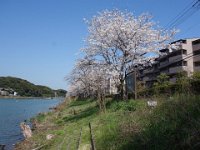 DSC06594