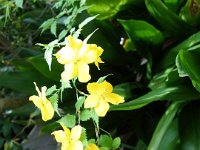 DSC06679