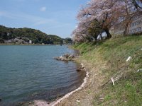 DSC06700