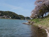 DSC06705