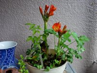 DSC06790