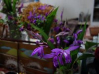 DSC06821