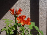 DSC06825