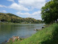DSC06850