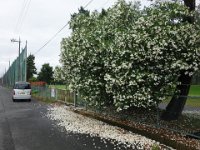 DSC06968