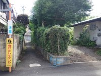 DSC07115