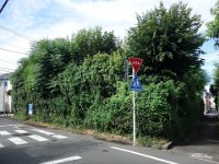 DSC07117