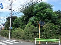 DSC07118