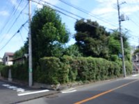 DSC07120