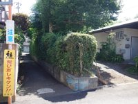 DSC07121