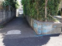 DSC07123