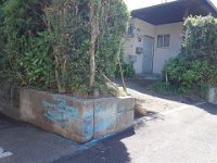 DSC07124