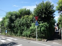 DSC07125