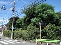 DSC07126
