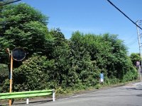 DSC07127