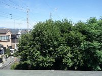 DSC07128