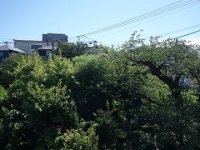 DSC07131