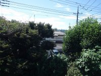 DSC07133