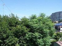 DSC07139