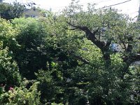 DSC07143