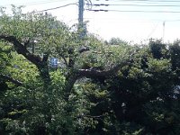 DSC07144