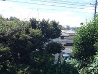DSC07145