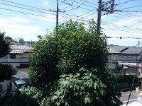 DSC07146