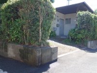 DSC07155