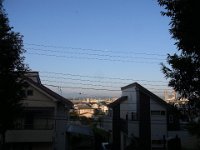 RIMG0737