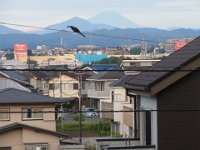 RIMG0741