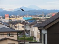 RIMG0742