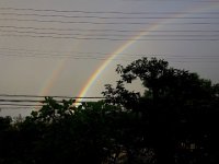 DSC07189X