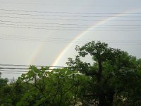 DSC07190