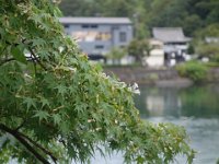 DSC07356